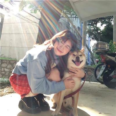 宅男的恋爱字典