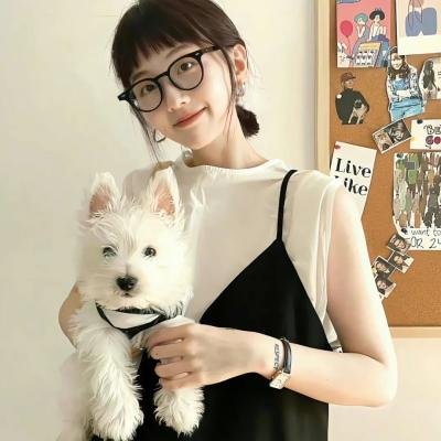 绿箭侠第四季